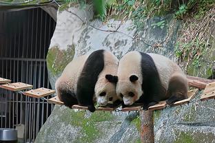 今日雷霆对阵凯尔特人 亚历山大&杰伦-威廉姆斯继续缺战